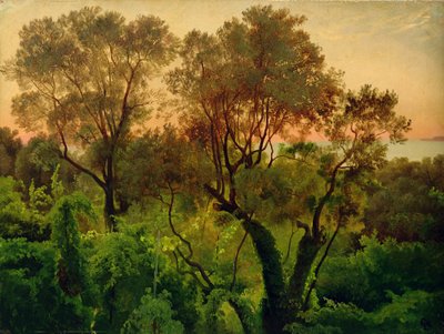 Pendio con alberi di ulivo da Louis Gurlitt