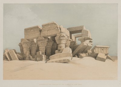 Egitto e Nubia, Volume II: Kom-Ombo da Louis Haghe