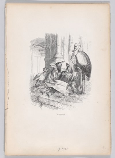 Ero una vedova da Scene della vita privata e pubblica degli animali, ca. 1837-47 da Louis Henri Brévière