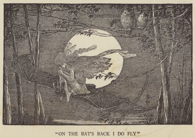 Sulla schiena dei pipistrelli volo da Louis John Rhead
