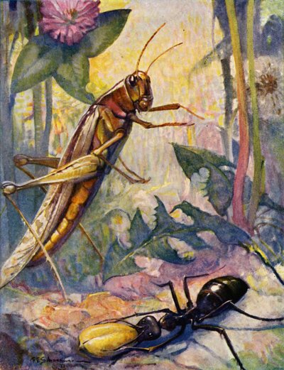 La formica e la cavalletta da Louis John Rhead