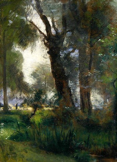 Il bordo del Karlsaue, Kassel da Louis Kolitz