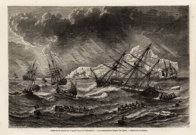 Pesca del merluzzo sul Grand Bank di Terranova, le barche seguono le linee, disegno di Lebreton, per illustrare il viaggio a Terranova nel 1860 di A. de Gobineau. Incisione in 