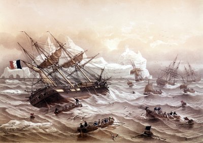Caccia alla balena a Terranova. Dipinto di Lebreton. Inizio XIX secolo da Louis Le Breton