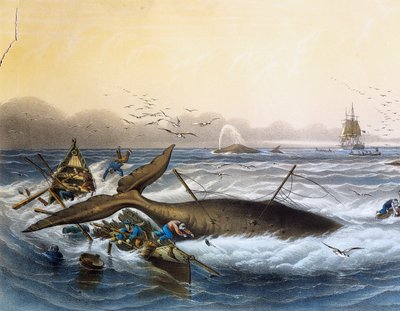 Caccia alla balena nei mari del sud, litografia a colori di Louis Lebreton (morto nel 1866) da Louis Le Breton