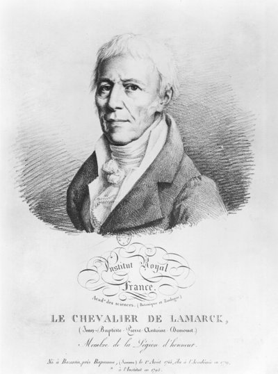 Ritratto di Jean-Baptiste de Monet (1744-1829) Cavaliere di Lamarck, da 