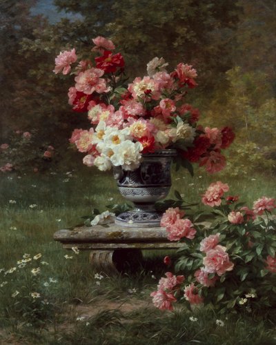 Peonie in un
