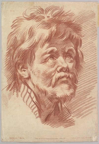 Testa di un vecchio da Louis Marin Bonnet