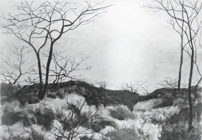 Paesaggio blu, c. 1896-1899 da Louis Michel Eilshemius