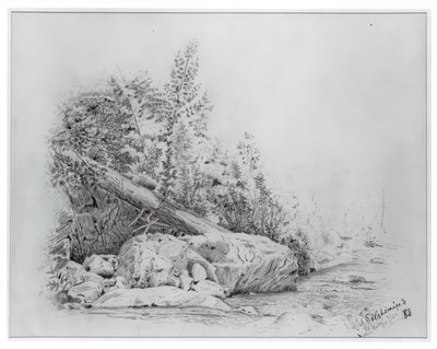 Albero caduto, Keene Valley, 25 luglio 1883 da Louis Michel Eilshemius