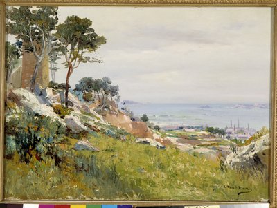 Veduta delle isole Friuli dalle alture di Madrague da Louis Nattero