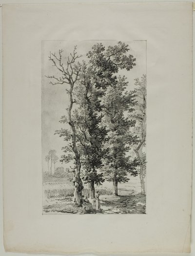 Studio di Alberi da Louis Pierre Baltard