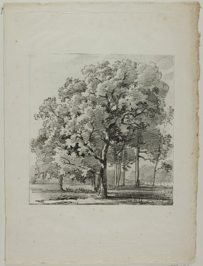 Studio di alberi da Louis Pierre Baltard