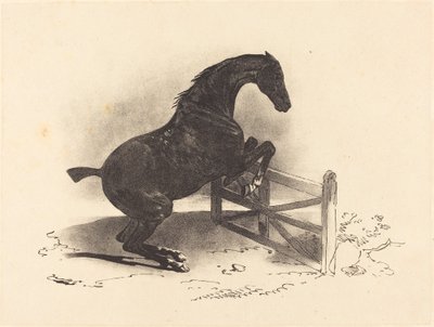 Cavallo che salta una barriera da Louis Pierre Marie Courtin after Théodore Gericault