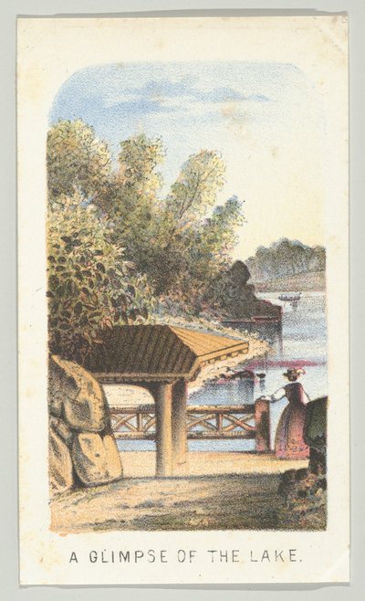 Uno scorcio del lago, dalla serie Vedute di Central Park, New York, Parte 2 da Louis Prang