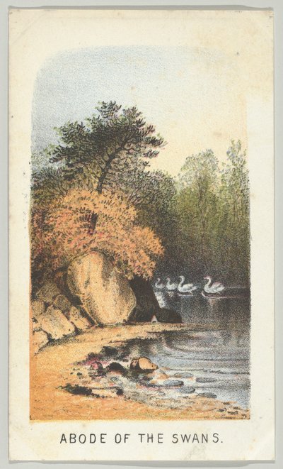 Dimora dei cigni, dalla serie, Vedute di Central Park, New York, Parte 2, 1864 da Louis Prang