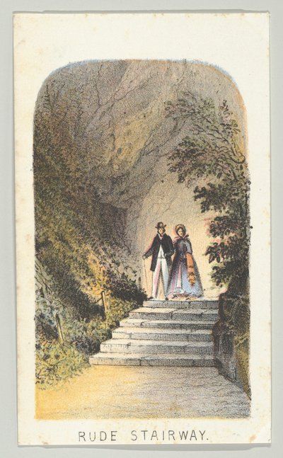 Scala Rude, dalla serie, Vedute di Central Park, New York, Parte 2, 1864 da Louis Prang