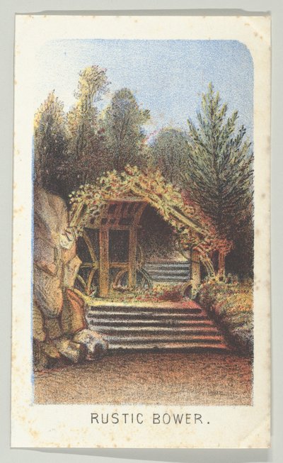 Rustic Bower, dalla serie, Vedute di Central Park, New York, Parte 3, 1864 da Louis Prang