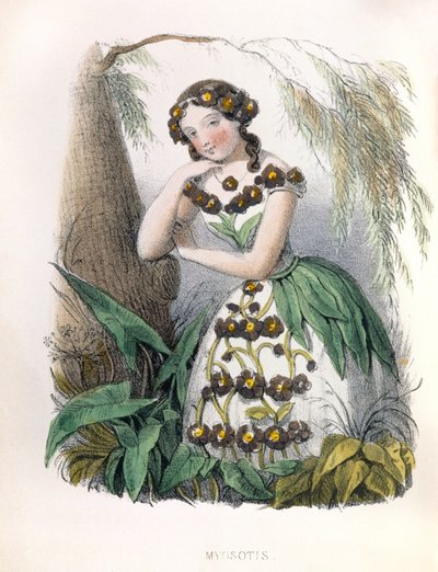 Allegorie , la Myosotis da Louis Simon (1810-1870) Lassalle