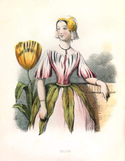 Allegorie, la Tulipe da Louis Simon (1810-1870) Lassalle