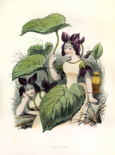 Allegorie , la Violette da Louis Simon (1810-1870) Lassalle