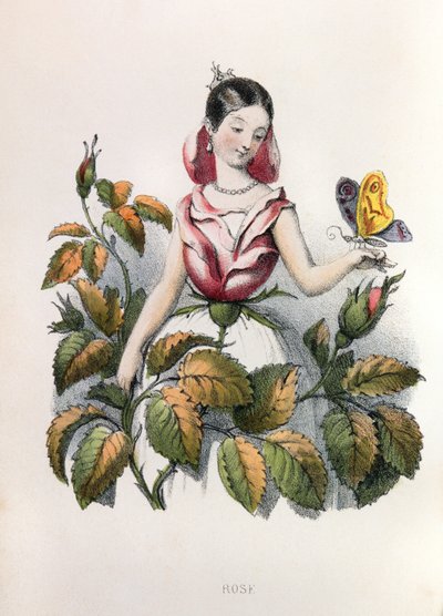 Allegorie , la rose da Louis Simon (1810-1870) Lassalle