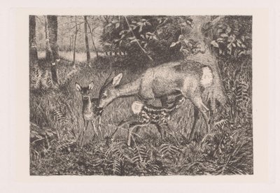 Cervo con due cuccioli (Rehfamilie) da Louis Theodor Lindblohm