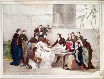 La lezione di anatomia da Louis Thomas Bardel