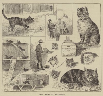 Casa dei gatti a Battersea da Louis Wain