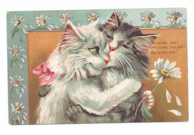 Cartolina edoardiana di due gatti che si abbracciano, c.1910 da Louis Wain
