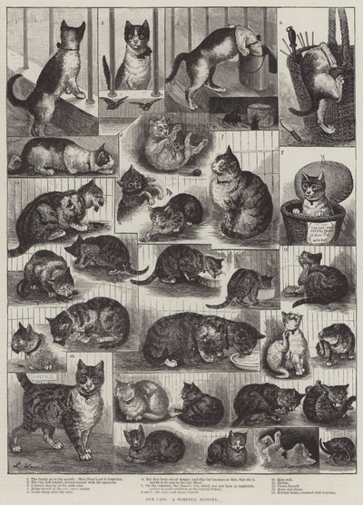 I nostri gatti, una storia domestica da Louis Wain