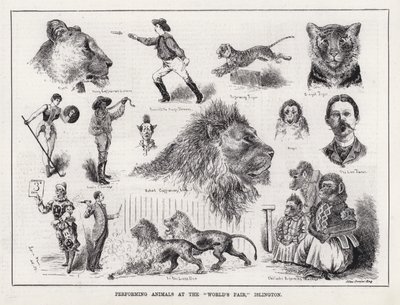Animali da spettacolo alla 