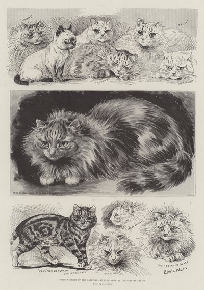 Vincitori di premi alla mostra del National Cat Club al Crystal Palace da Louis Wain