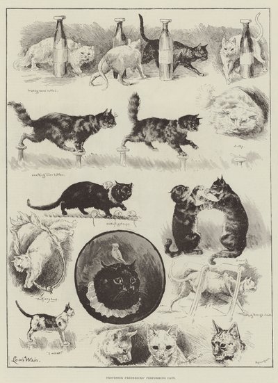 I gatti performanti del professor Fredericks da Louis Wain
