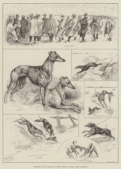 Schizzi al Waterloo Coursing Meeting, Altcar, vicino a Liverpool da Louis Wain