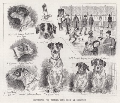 Mostra del Southdown Fox Terrier Club a Brighton da Louis Wain