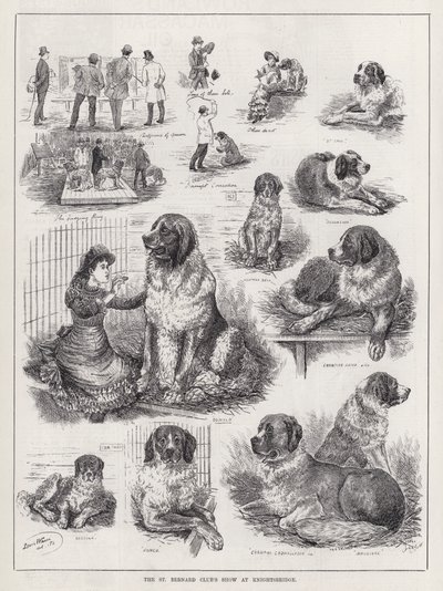 Mostra del Club di San Bernardo a Knightsbridge da Louis Wain