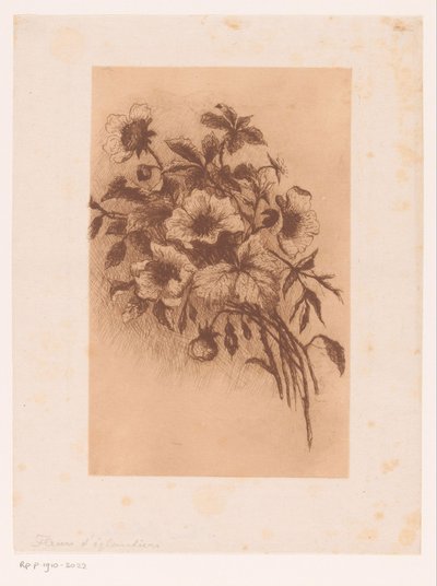 Fiori da Louise Elsen (attributed to)