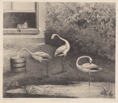 Tre fenicotteri e un gatto da Louise Marie Françoise van der Beek