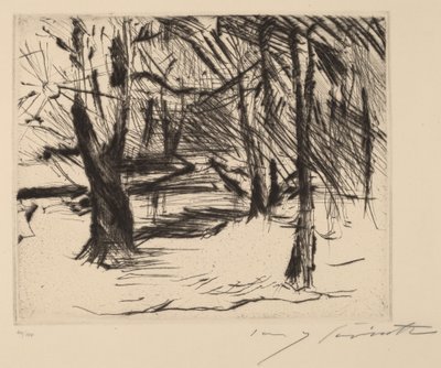 Alberi al Sole da Lovis Corinth