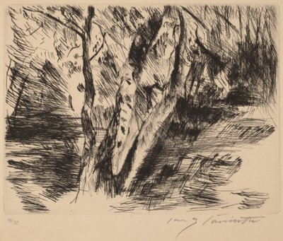 Betulle nel Tiergarten da Lovis Corinth