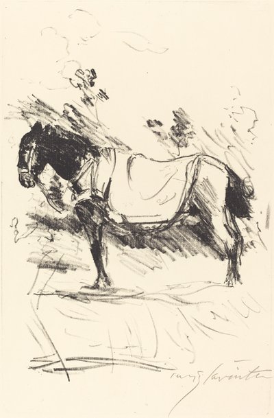 Cavallo da Equitazione da Lovis Corinth