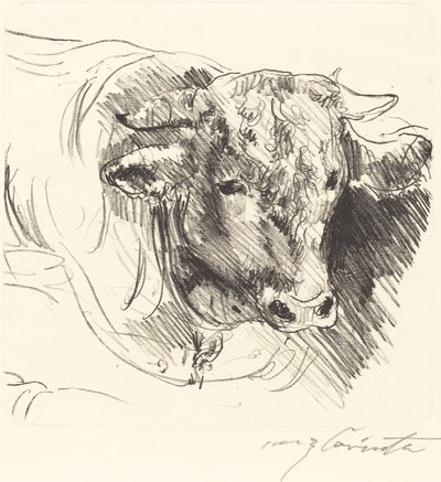 Testa di un toro da Lovis Corinth