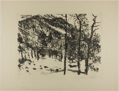 La valle, da Inizio primavera in montagna da Lovis Corinth
