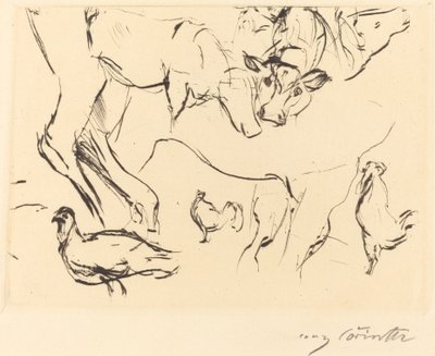 Verschiedene Tierstudien da Lovis Corinth