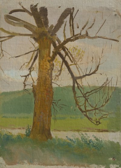 Albero vicino al fiume da Laszlo Mednyanszky