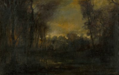 Paesaggio paludoso da Laszlo Mednyanszky