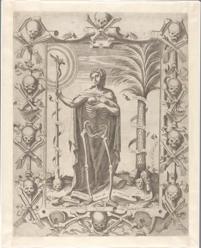 Vanitas da Luca Bertelli