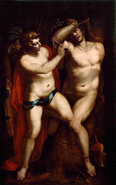 Apollo e Marsia da Luca Cambiaso