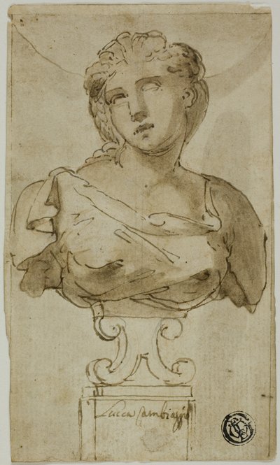 Busto di una donna da Luca Cambiaso